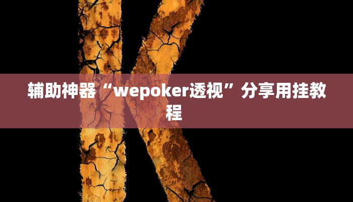 辅助神器“wepoker透视”分享用挂教程 