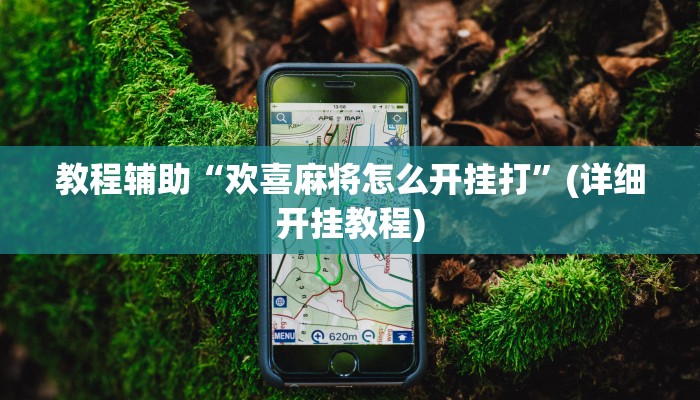 教程辅助“欢喜麻将怎么开挂打”(详细开挂教程)