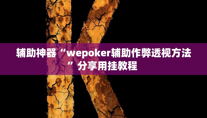 辅助神器“wepoker辅助作弊透视方法”分享用挂教程 