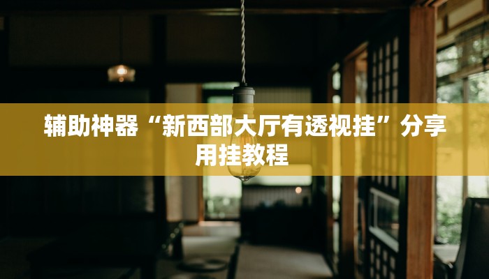 辅助神器“新西部大厅有透视挂”分享用挂教程 