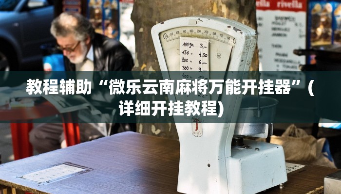 教程辅助“微乐云南麻将万能开挂器”(详细开挂教程)