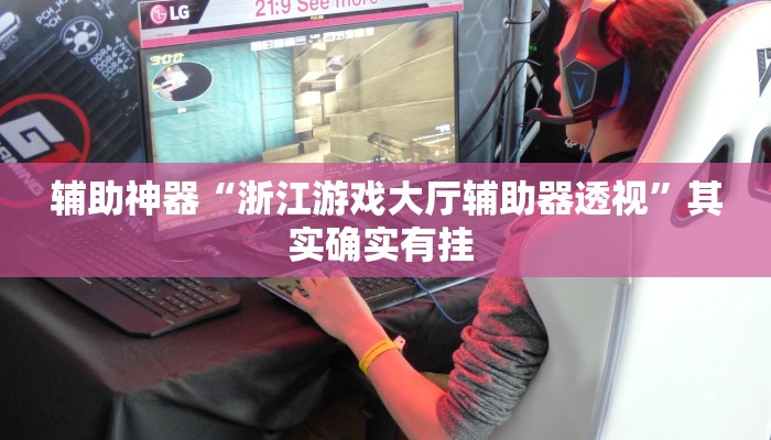 辅助神器“浙江游戏大厅辅助器透视”其实确实有挂 