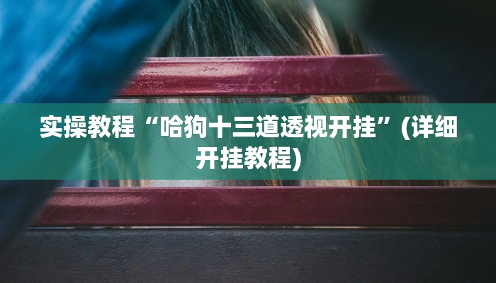 实操教程“哈狗十三道透视开挂”(详细开挂教程)