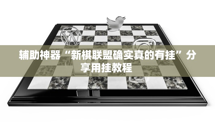 辅助神器“新棋联盟确实真的有挂”分享用挂教程 