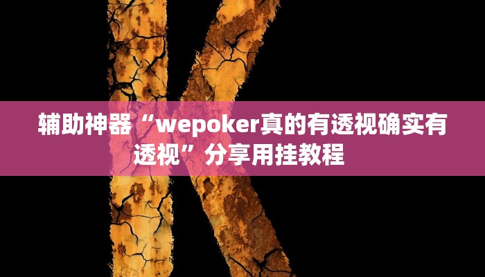 辅助神器“wepoker真的有透视确实有透视”分享用挂教程 