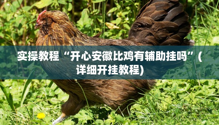 实操教程“开心安徽比鸡有辅助挂吗”(详细开挂教程)