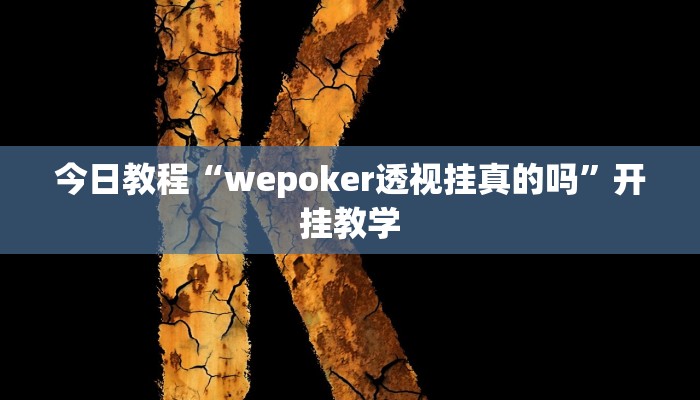 今日教程“wepoker透视挂真的吗”开挂教学