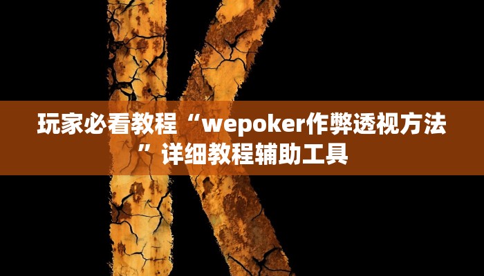 玩家必看教程“wepoker作弊透视方法”详细教程辅助工具