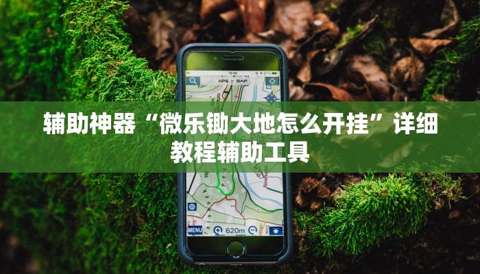 辅助神器“微乐锄大地怎么开挂”详细教程辅助工具