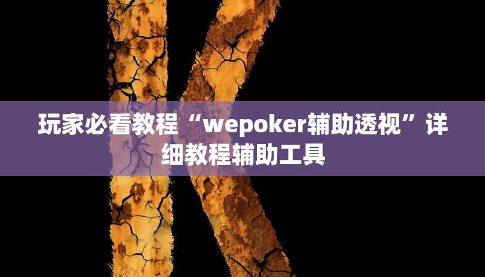 玩家必看教程“wepoker辅助透视”详细教程辅助工具