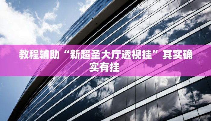 教程辅助“新超圣大厅透视挂”其实确实有挂 教程辅助“新超圣大厅透视挂”其实确实有挂