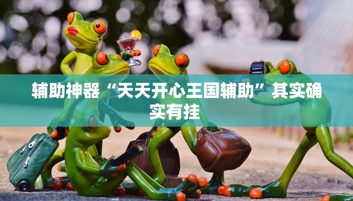 辅助神器“天天开心王国辅助”其实确实有挂 辅助神器“天天开心王国辅助”其实确实有挂
