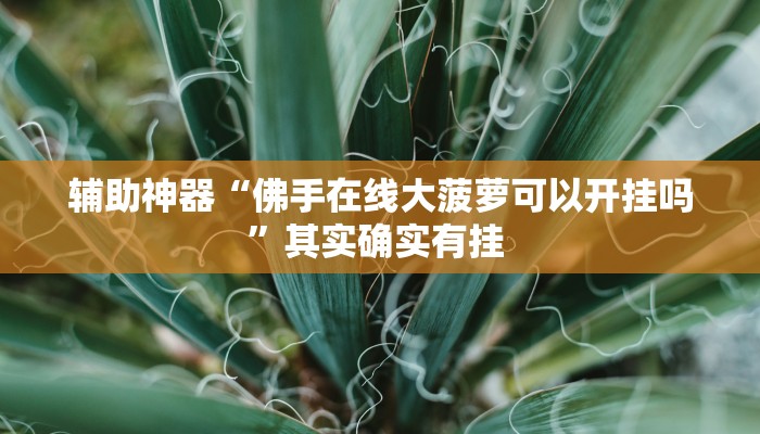 辅助神器“佛手在线大菠萝可以开挂吗”其实确实有挂 辅助神器“佛手在线大菠萝可以开挂吗”其实确实有挂