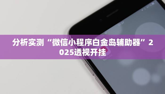 分析实测“微信小程序白金岛辅助器”2025透视开挂