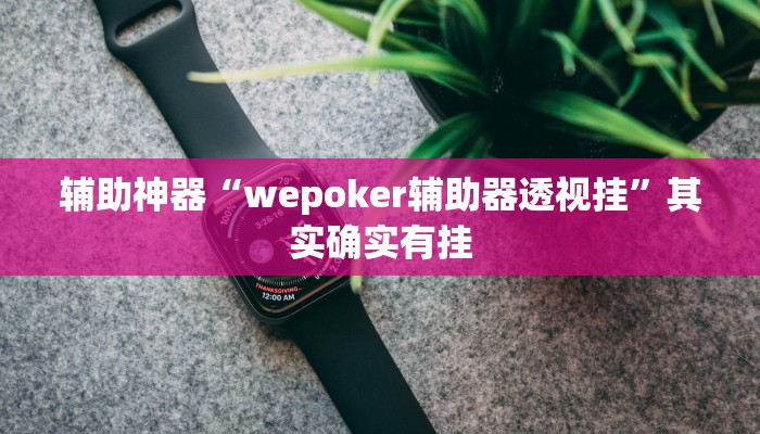 辅助神器“wepoker辅助器透视挂”其实确实有挂