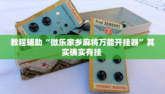 教程辅助“微乐家乡麻将万能开挂器”其实确实有挂 