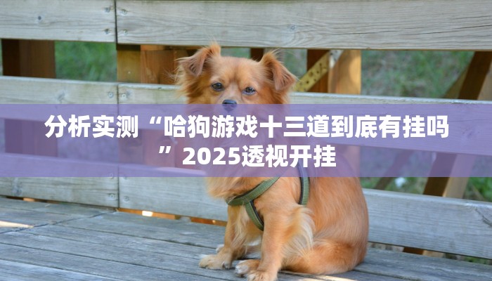 分析实测“哈狗游戏十三道到底有挂吗”2025透视开挂 分析实测“哈狗游戏十三道到底有挂吗”2025透视开挂