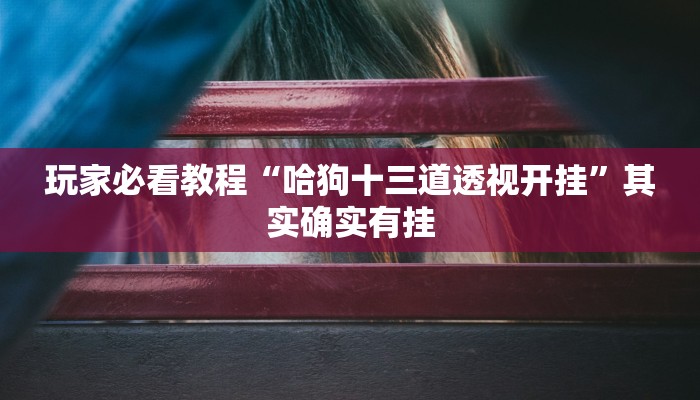 玩家必看教程“哈狗十三道透视开挂”其实确实有挂