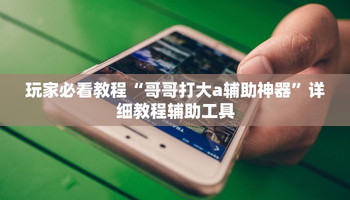 玩家必看教程“哥哥打大a辅助神器”详细教程辅助工具