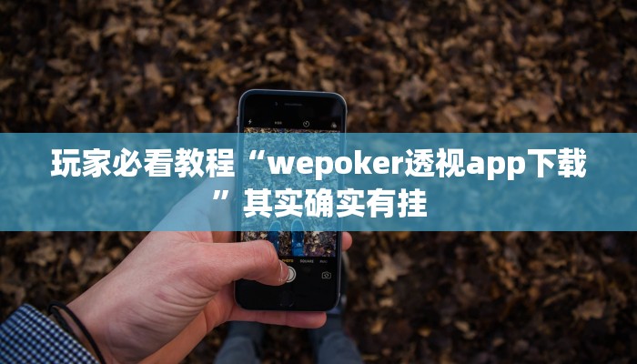 玩家必看教程“wepoker透视app下载”其实确实有挂
