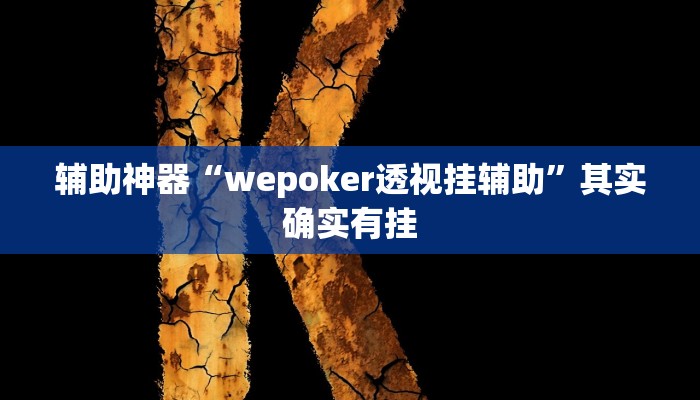 辅助神器“wepoker透视挂辅助”其实确实有挂