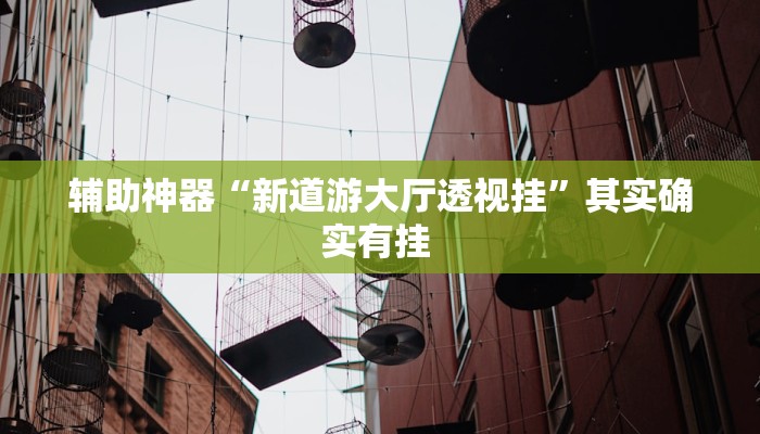 辅助神器“新道游大厅透视挂”其实确实有挂 