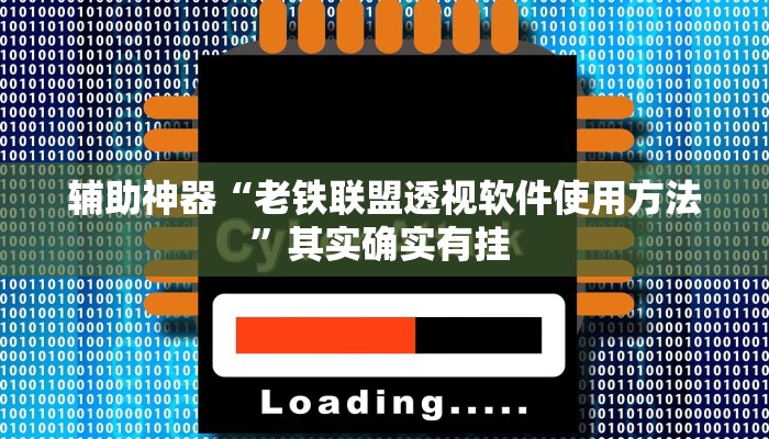 辅助神器“老铁联盟透视软件使用方法”其实确实有挂 