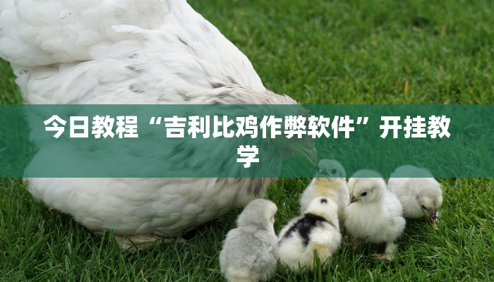 今日教程“吉利比鸡作弊软件”开挂教学