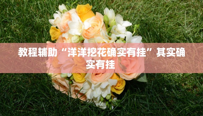 教程辅助“洋洋挖花确实有挂”其实确实有挂 教程辅助“洋洋挖花确实有挂”其实确实有挂