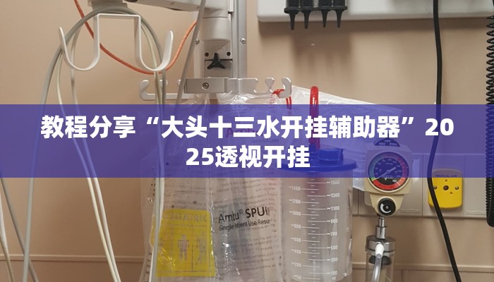 教程分享“大头十三水开挂辅助器”2025透视开挂