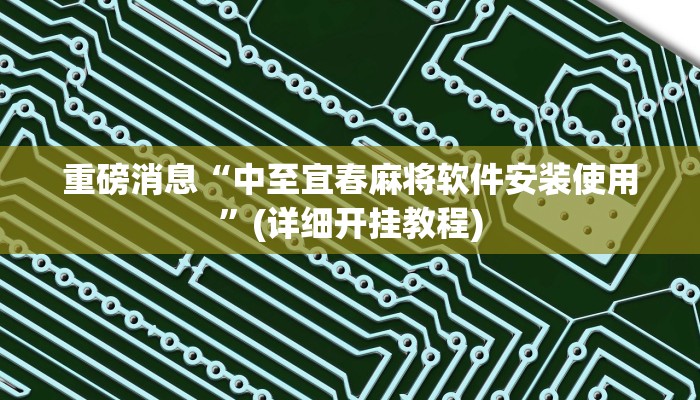 重磅消息“中至宜春麻将软件安装使用”(详细开挂教程)