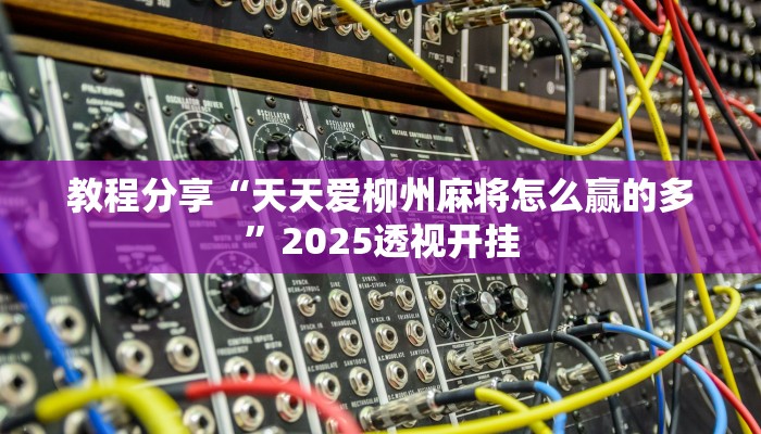教程分享“天天爱柳州麻将怎么赢的多”2025透视开挂
