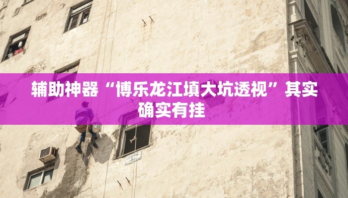 辅助神器“博乐龙江填大坑透视”其实确实有挂 