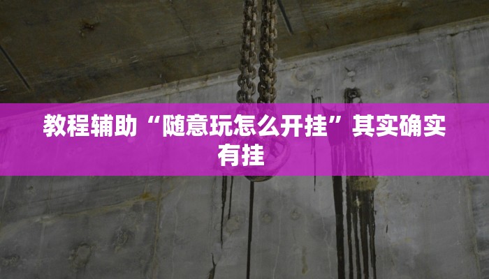 教程辅助“随意玩怎么开挂”其实确实有挂 