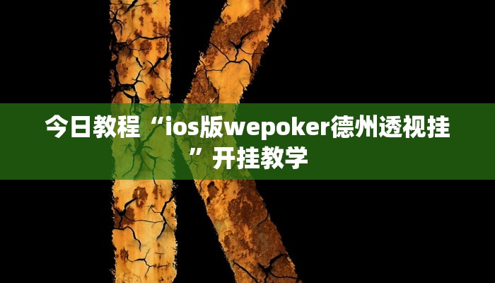今日教程“ios版wepoker德州透视挂”开挂教学