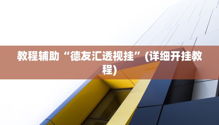 教程辅助“德友汇透视挂”(详细开挂教程)