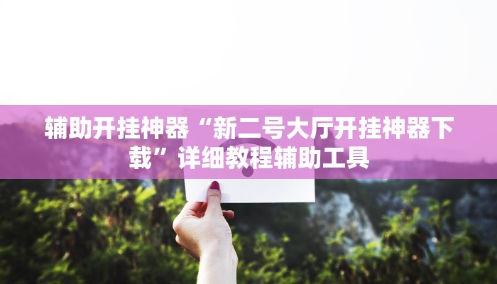 辅助开挂神器“新二号大厅开挂神器下载”详细教程辅助工具 辅助开挂神器“新二号大厅开挂神器下载”详细教程辅助工具