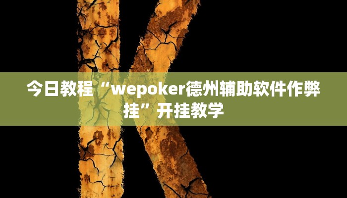 今日教程“wepoker德州辅助软件作弊挂”开挂教学