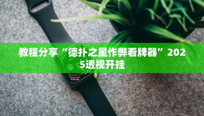 教程分享“德扑之星作弊看牌器”2025透视开挂