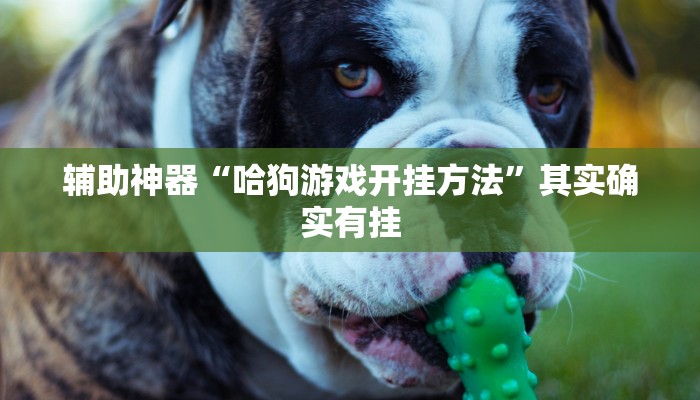 辅助神器“哈狗游戏开挂方法”其实确实有挂