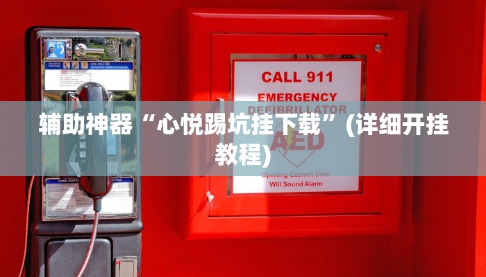 辅助神器“心悦踢坑挂下载”(详细开挂教程)