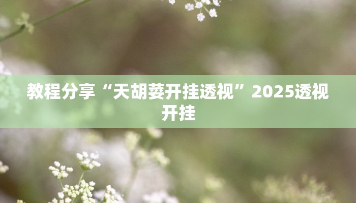 教程分享“天胡荽开挂透视”2025透视开挂