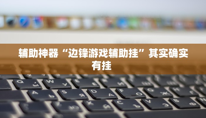 辅助神器“边锋游戏辅助挂”其实确实有挂 辅助神器“边锋游戏辅助挂”其实确实有挂