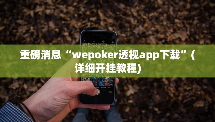 重磅消息“wepoker透视app下载”(详细开挂教程)