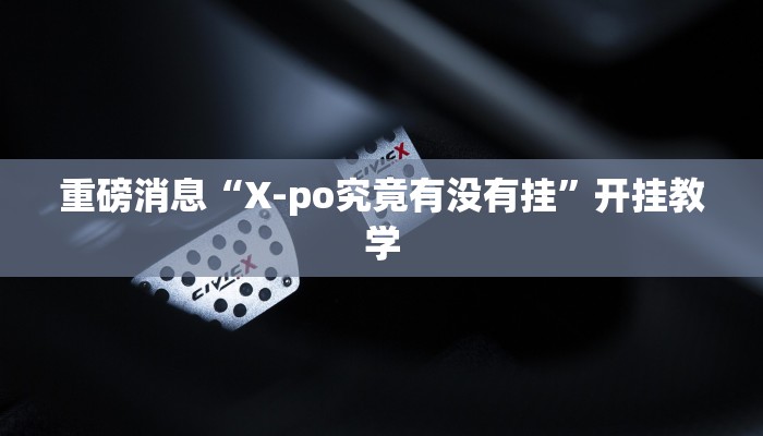 重磅消息“X-po究竟有没有挂”开挂教学 重磅消息“X-po究竟有没有挂”开挂教学