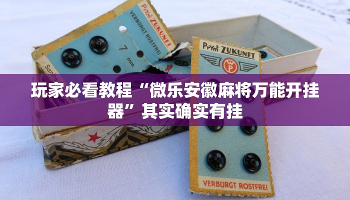 玩家必看教程“微乐安徽麻将万能开挂器”其实确实有挂 玩家必看教程“微乐安徽麻将万能开挂器”其实确实有挂