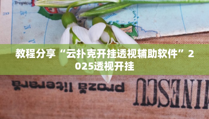 教程分享“云扑克开挂透视辅助软件”2025透视开挂