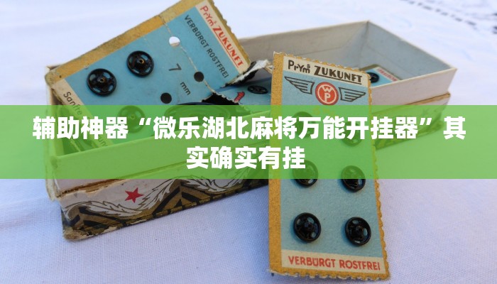 辅助神器“微乐湖北麻将万能开挂器”其实确实有挂 辅助神器“微乐湖北麻将万能开挂器”其实确实有挂