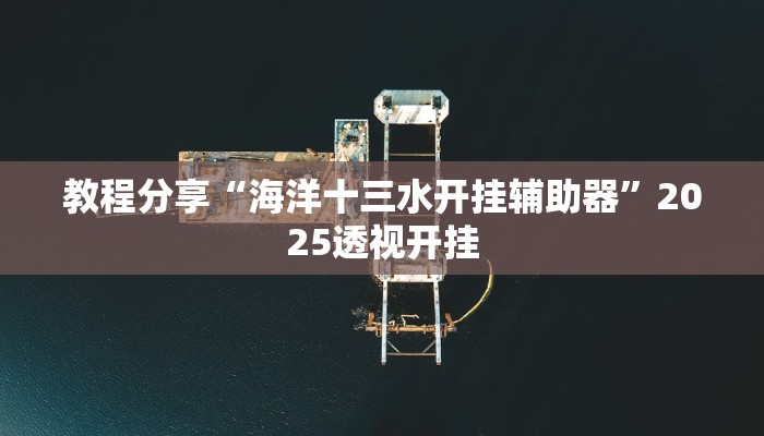 教程分享“海洋十三水开挂辅助器”2025透视开挂