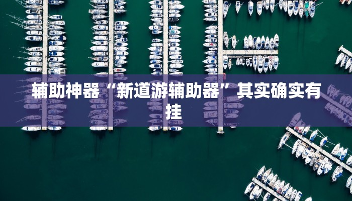 辅助神器“新道游辅助器”其实确实有挂 